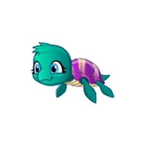 Twilight Turtle